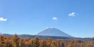 秋のニセコ、洞爺湖ドライブ 〜晩秋のちょっと雪化粧をした羊蹄山を眺めながら〜