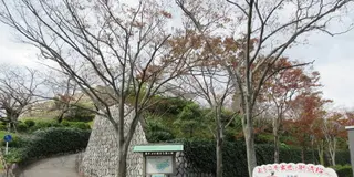出世の城と出世城下町