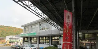 秋吉台と秋芳洞で自然の神秘と触れ合う