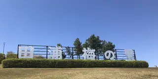 【横須賀】午後から散歩プラン