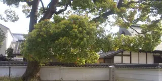 鴻池新田と徳庵