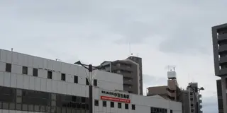 百舌鳥・古市古墳群と中百舌鳥（なかもず）