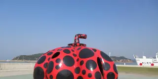 かぼちゃでアートな直島