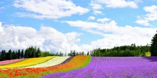 絶景HOKKAIDO