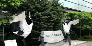 ファミリーにおすすめ！ひがし北海道3泊4日