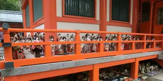淡嶋神社を散策。松の木を眺めながら