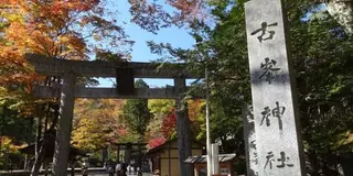 宇都宮で餃子🥟を食べ比べしつつパワースポット⛩巡り