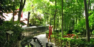 散歩部　国分寺·小金井編