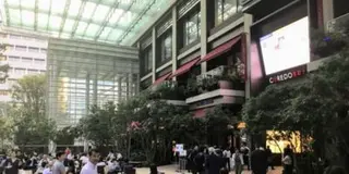 大人の知的散歩