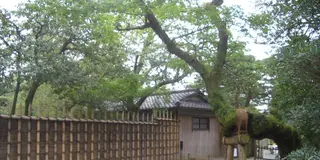 かぐや姫！？鈴虫の鳴く寺院で聞く説法