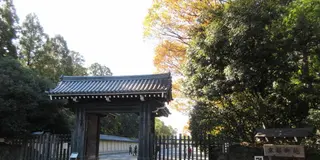 安倍晴明の足跡を求めて京都御所を四季折々の花々と