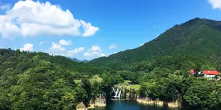 森の静寂に包まれてリラックス　パワースポットを巡るドライブコース