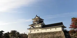 「とやま」で「きときと」