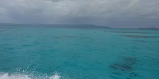 初めての八重山諸島～西表島・由布島・竹富島・小浜島編～