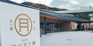 道の駅-静岡/神奈川/山梨-1day