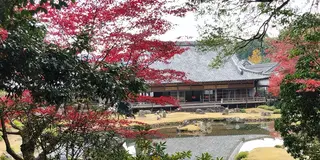 山口ドライブの旅🚙1日目