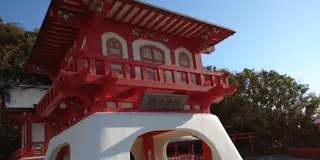 【南薩・指宿】あふれる魅力、まるっと！