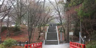 根来衆と和歌山の歴史