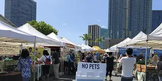 カカアコを巡る旅！