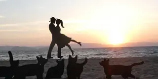 縁結びの旅 💓大隅半島ロマンチック紀行