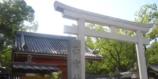 えべっさん「商売繁盛で笹持ってこい♪」
