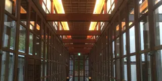 小田原・箱根をブラリ大人の旅歩き