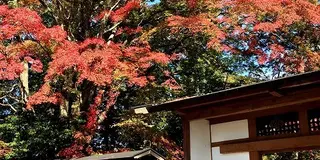 歴史を感じるまち歩き。岩手・金ケ崎タイムトリップ