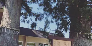 富山県立山美女平散策