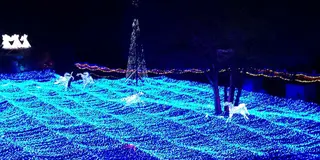京都　イルミエール