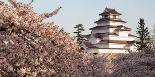 春の会津～桜紀行
