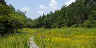 GWはお花見シーズン！！