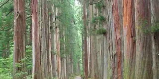 自然の力でパワーアップ！新潟、長野の旅〜