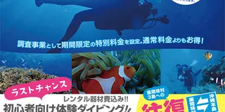 座間味ダイバーズエッグプロジェクト！   国立公園 座間味島で、体験ダイビングをしよう！〜2／28