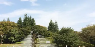 世田谷公園でピクニック＆三宿辺りをぶらぶらの日
