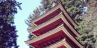 なんだか懐かしい宇陀でゆっくりのんびり…のつもりが!?