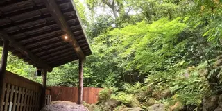 別府 温泉巡り〜リラクセーションバルvol.1