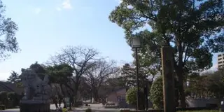 住之江味噌をお土産に。すみよっさん（住吉大社）へは、高灯籠が目印