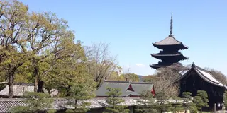 I LOVE 東寺