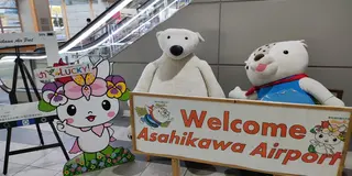 北海道の人気観光地をぐるっと周遊5日間