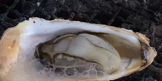 関西屈指の牡蠣生産地「赤穂・坂越（さこし）」で牡蠣と温泉を楽しもう！