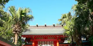 【宮崎】南国に行けちゃう旅