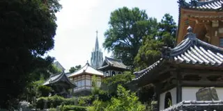 有田 伊万里 窯元巡りと長崎平戸の歴史旅🧡器とグルメの旅🎶🎶
