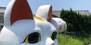 😻愛知・常滑（とこなめ）を見守る巨大招き猫❗️「とこにゃん」に会いに行こう❗️😻