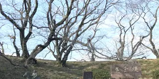 地元西尾のおでかけスポットを探して行ってみた