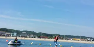 花咲かタイムズ【愛知・南知多町】