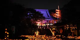 ［片瀬～長谷～江ノ島］8月限定 幻想的な夜景巡り♪