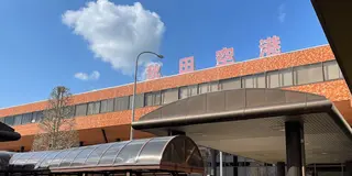 あれもこれもまるっと満喫！美食と癒しの秋田旅