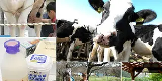 那須・塩原で、行くべきグルメ！