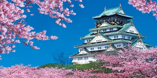 桜🌸の咲く城下町の旅