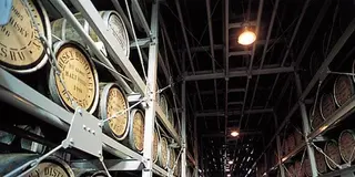【おとなの遠足】食べて、飲んで、旅をして。日帰りで行ける山梨ツアー